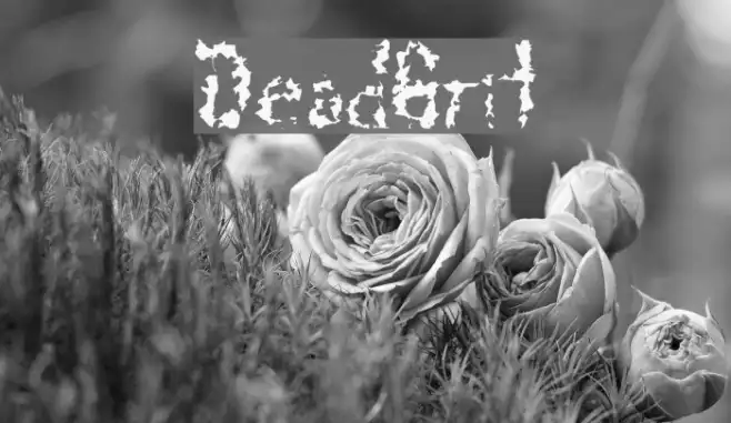 DeadGrit Example 2