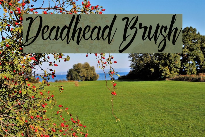 Deadhead Brush Example 1