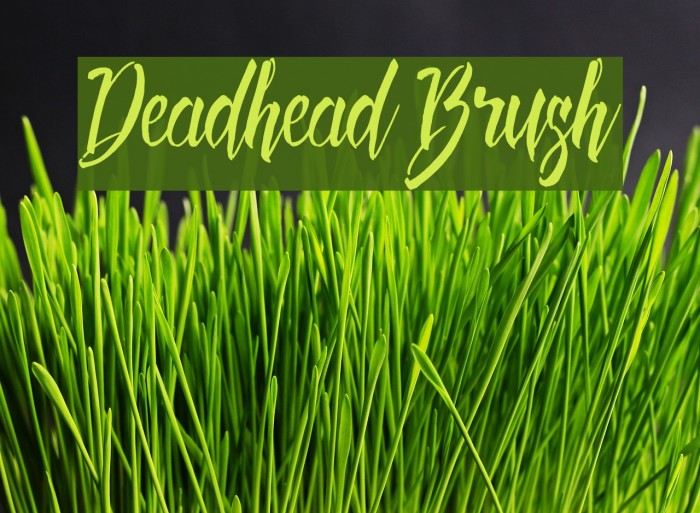 Deadhead Brush Example 2
