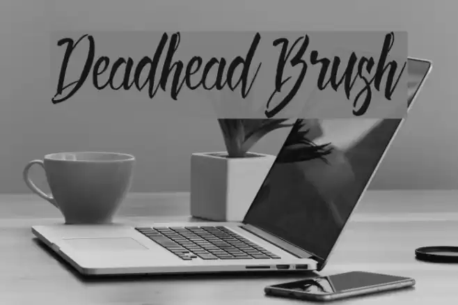 Deadhead Brush Font examples