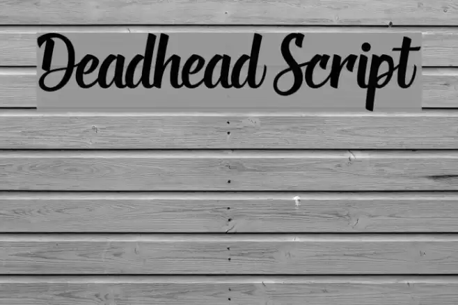 Deadhead Script Font examples