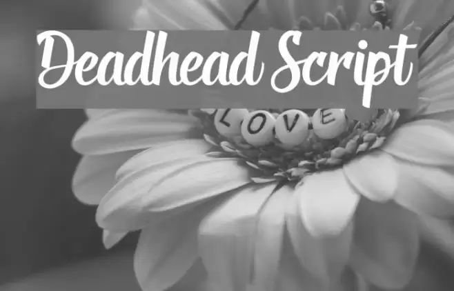Deadhead Script Font examples