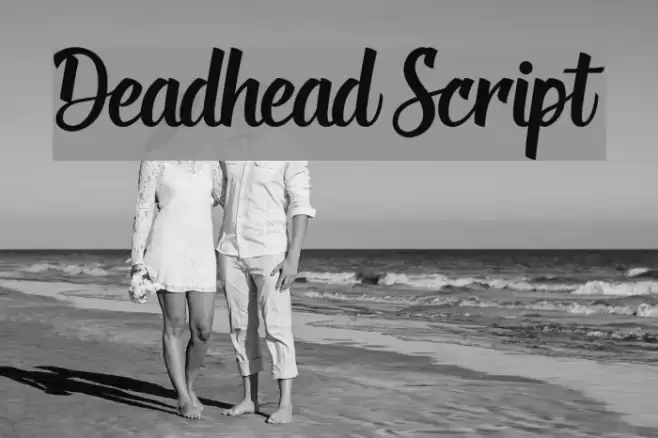 Deadhead Script Font examples