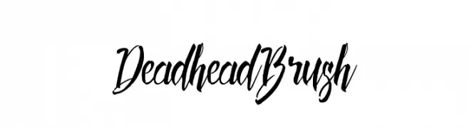 DeadheadBrush  تنزيل الخطوط