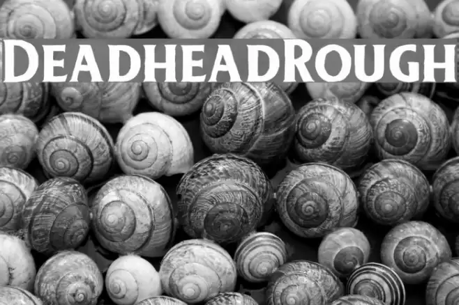 DeadheadRough Font examples
