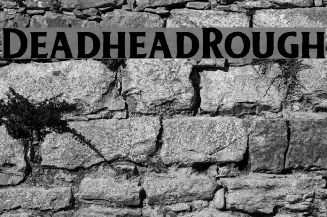 DeadheadRough Font examples