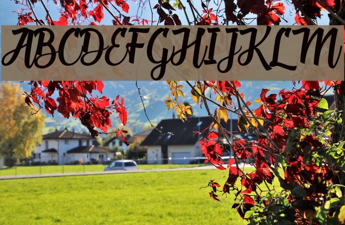 DeadheadScript Font examples