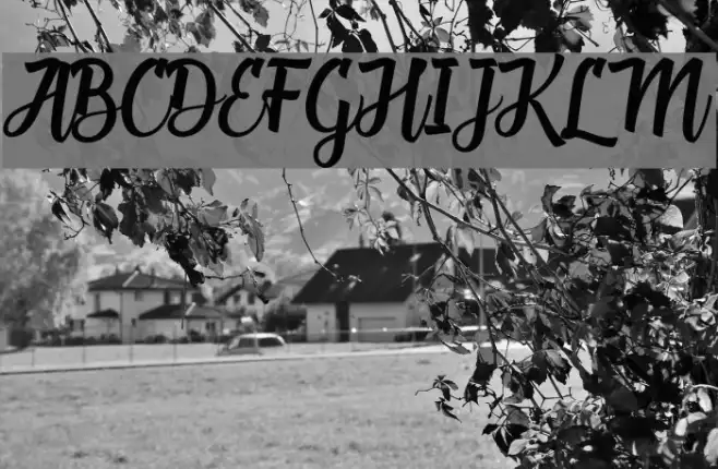 DeadheadScript Example 2