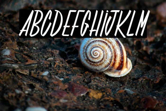 Deadline Countdown_PersonalUseOnly Example 1