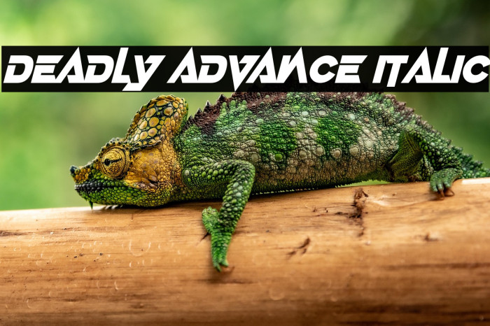 Deadly Advance Italic Example 2