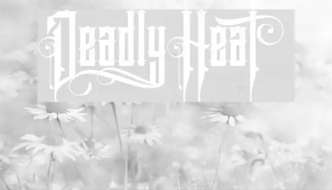 DeadlyHeat Example 1