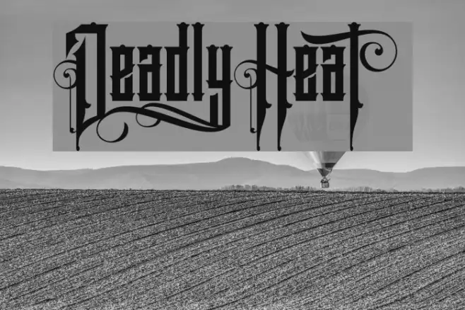 DeadlyHeat Example 2