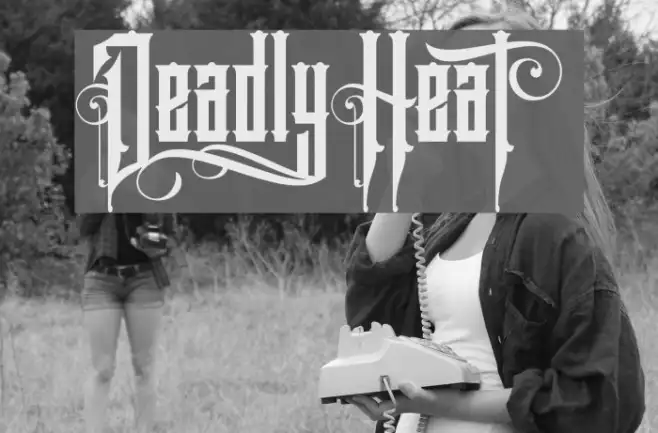 DeadlyHeat Example 3