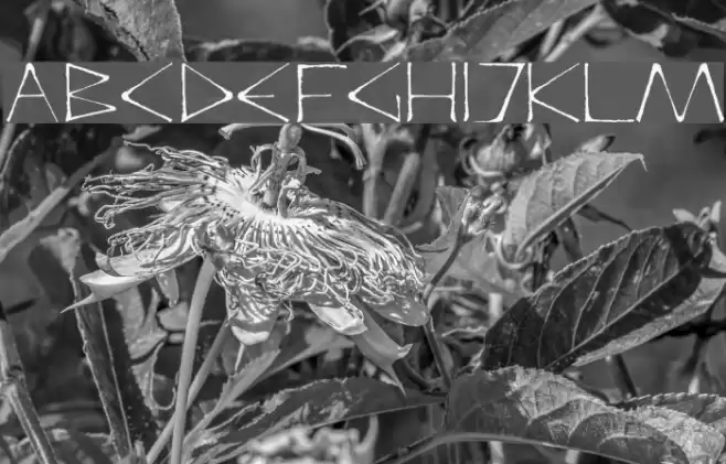 DeadlyRegular Font examples