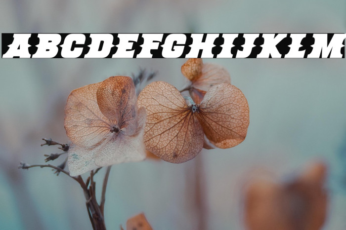 Deadman Italic Example 3