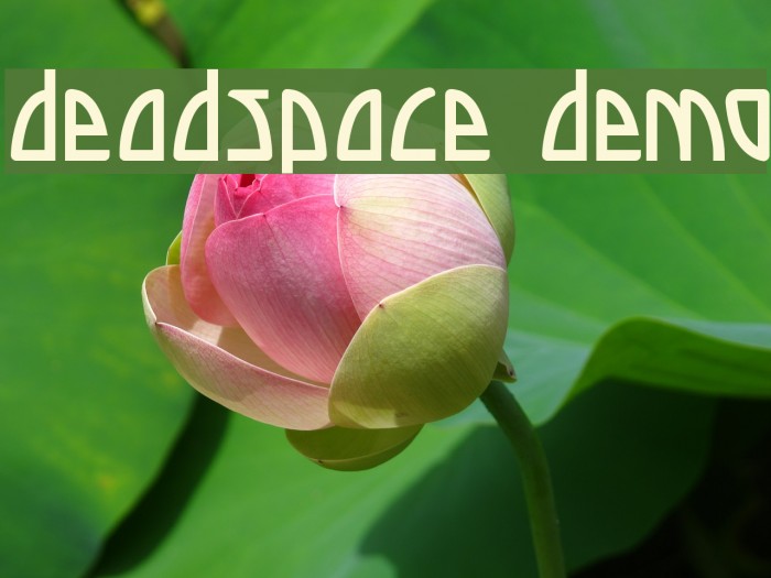 Deadspace DEMO Example 2