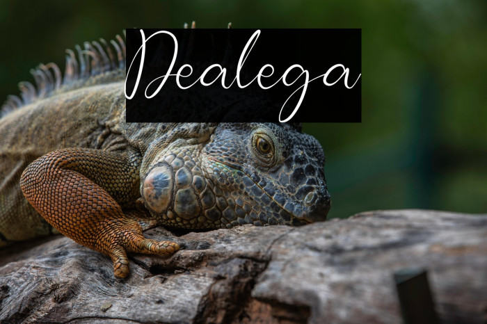 Dealega Example 2
