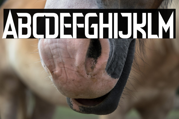 Dealer Strikes Straight Example 3