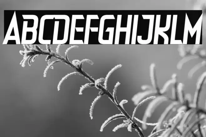 Dealer Strikes Font examples