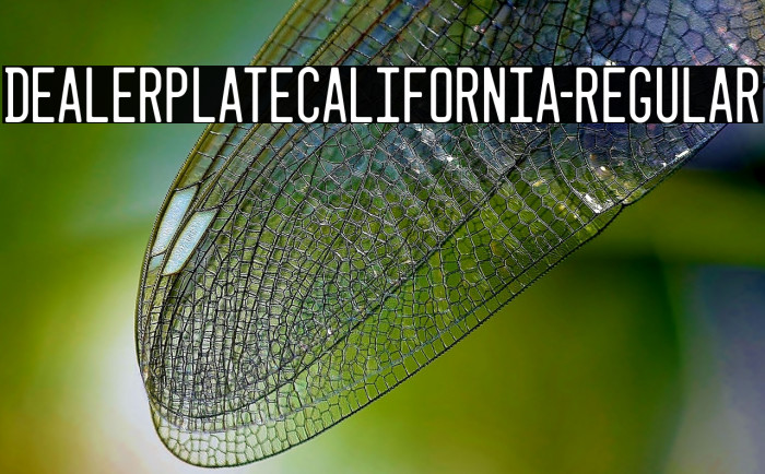 DealerplateCalifornia-Regular Polices examples
