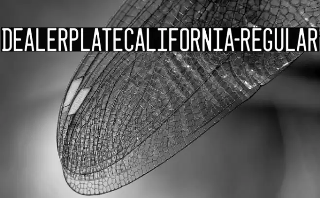 DealerplateCalifornia-Regular Font examples