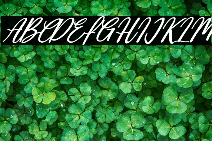 Deallisa Italic Example 1