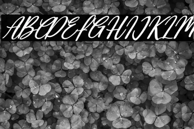 Deallisa Italic Font examples