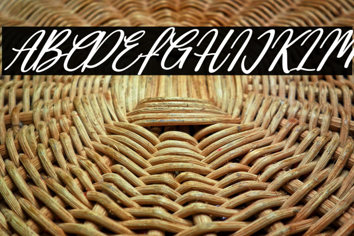 Deallisa Italic Example 2