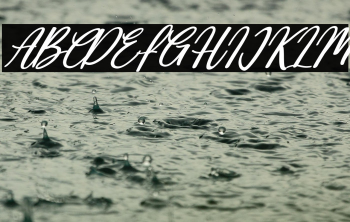 Deallisa Italic Example 3