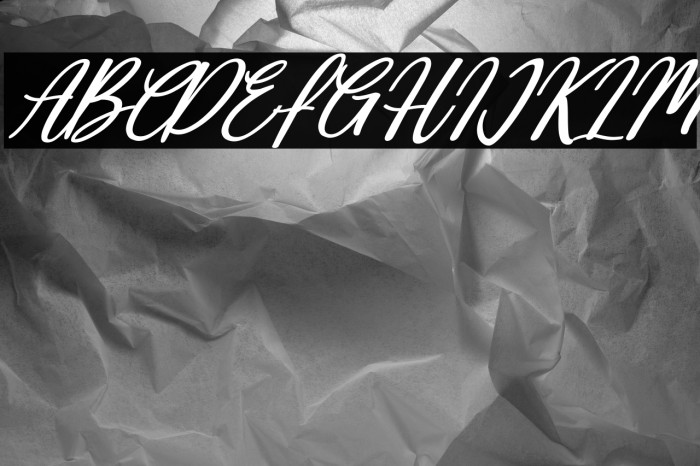 Deallisa Italic Example 1