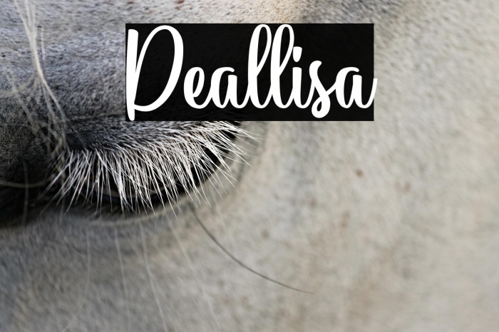 Deallisa Example 1