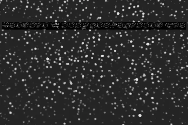 Dealova Monogram_Personal Use Example 2