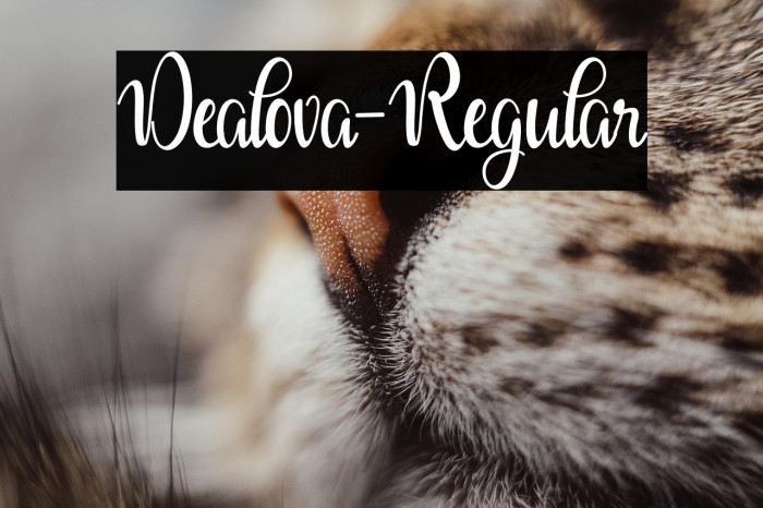 Dealova-Regular Example 2