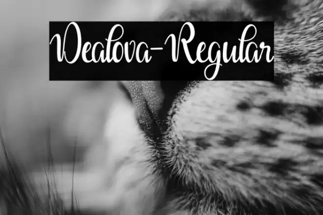 Dealova-Regular Font examples