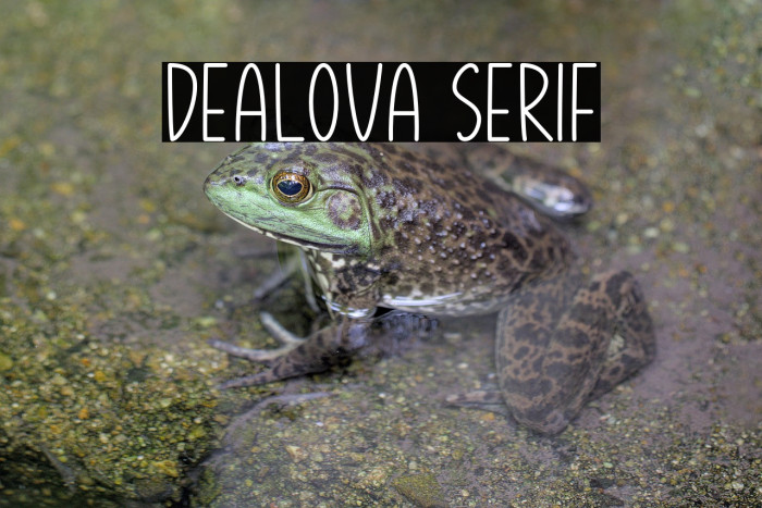 Dealova Serif Example 1
