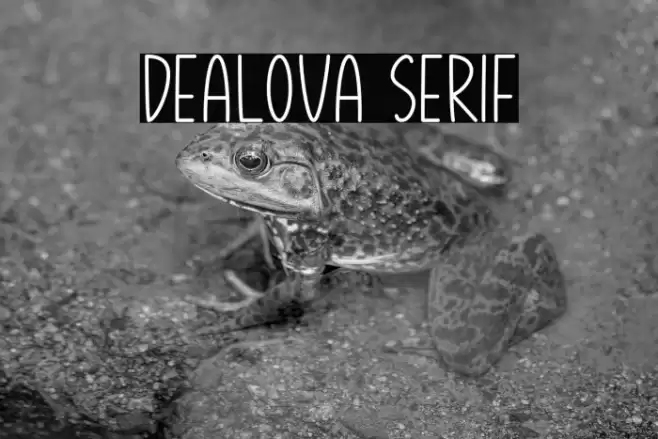 Dealova Serif Шрифта examples
