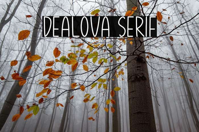 Dealova Serif Example 3