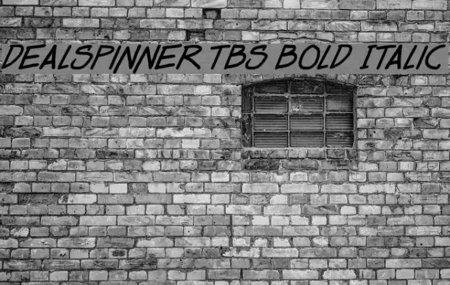 Dealspinner TBS Bold Italic Font examples