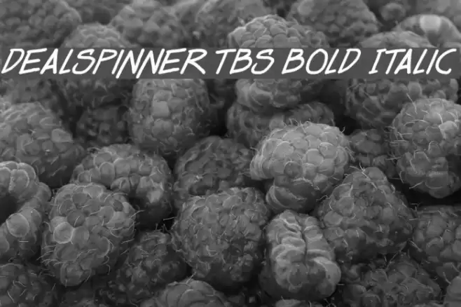 Dealspinner TBS Bold Italic Font examples