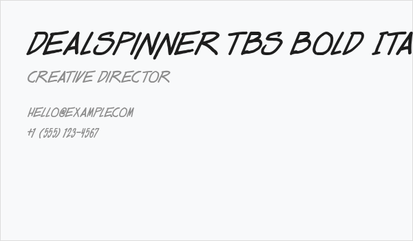 Dealspinner TBS Bold Italic Business Card