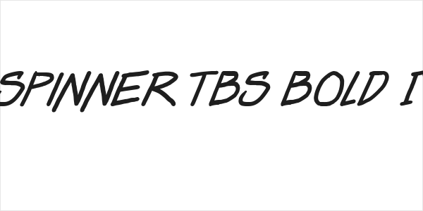 Dealspinner TBS Bold Italic Logo