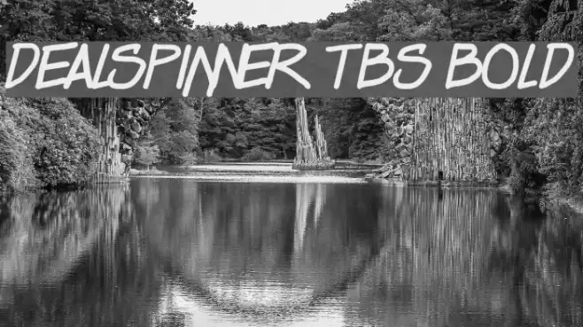 Dealspinner TBS Bold Font examples