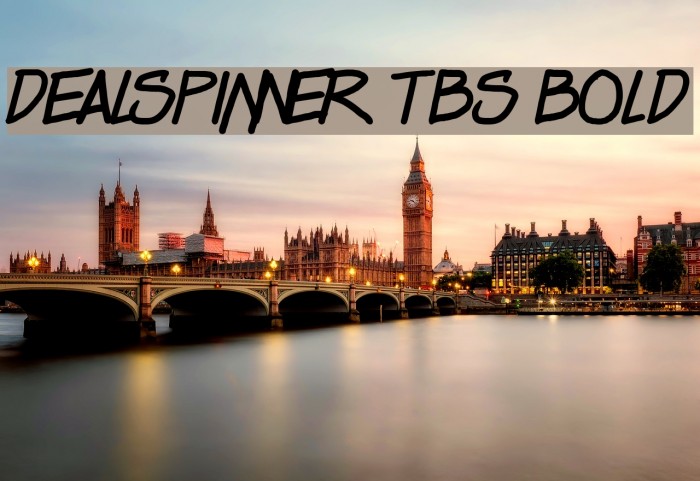 Dealspinner TBS Bold Font examples