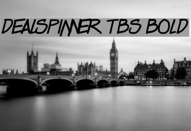 Dealspinner TBS Bold Font examples