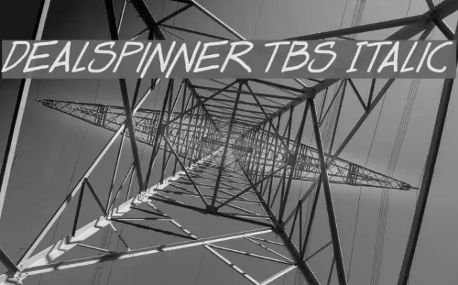 Dealspinner TBS Italic フォント examples