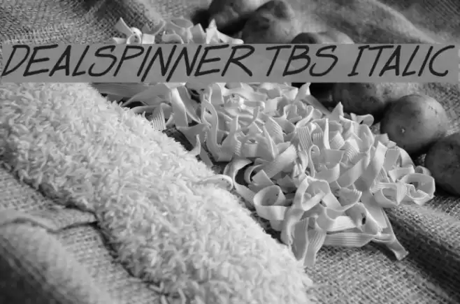 Dealspinner TBS Italic フォント examples