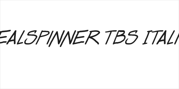 Dealspinner TBS Italic Logo