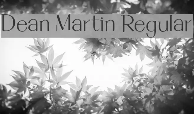 Dean Martin Regular Example 1