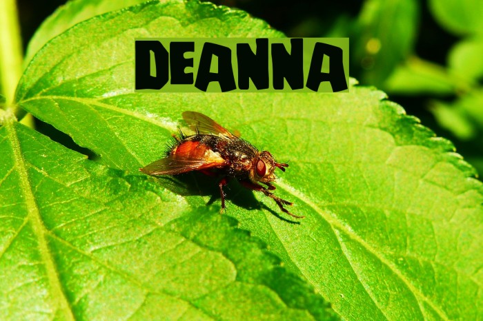 Deanna Fuentes examples