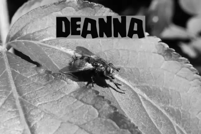 Deanna Font examples